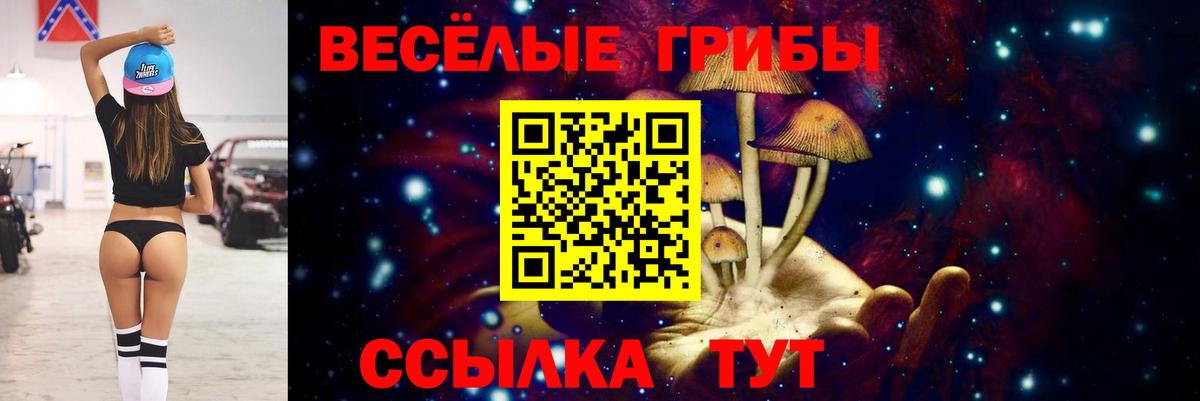 Галлюциногенные грибы Psilocybine cubensis Ступино